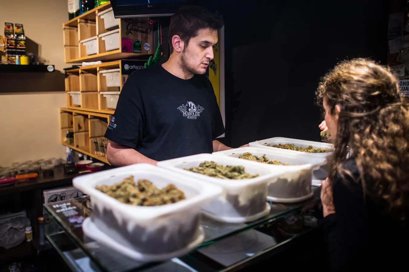 How to choose the Best Cannabis Clubs Madrid with confidence