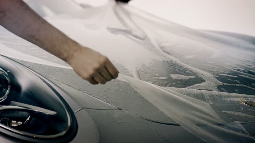 Professional Car Detailing Chattanooga | Big Dog Detail
