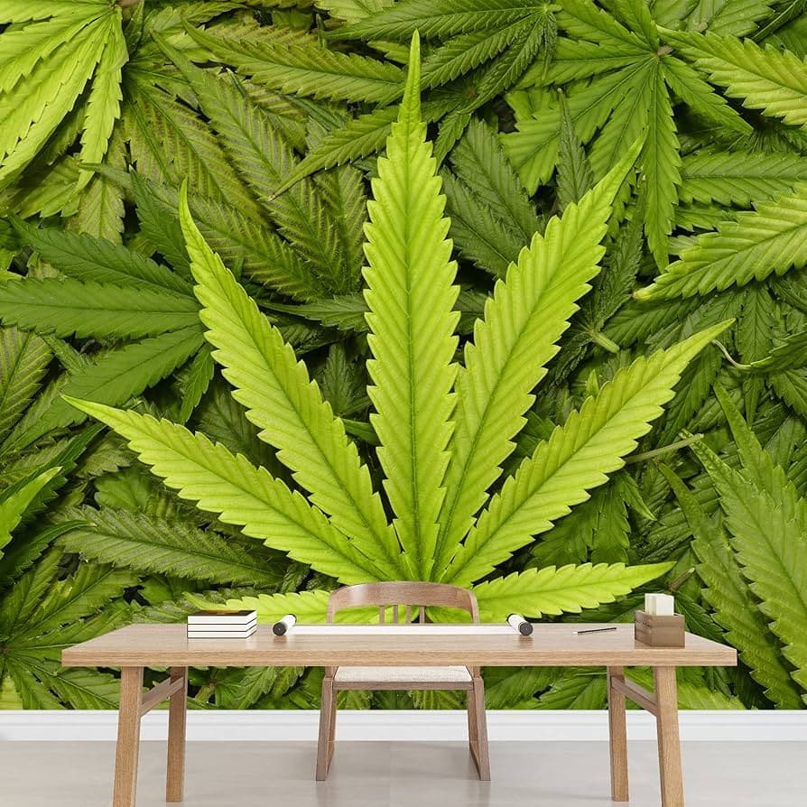 Cannabis club hamburg mit Anbaulizenz – Blütenbande e.V.