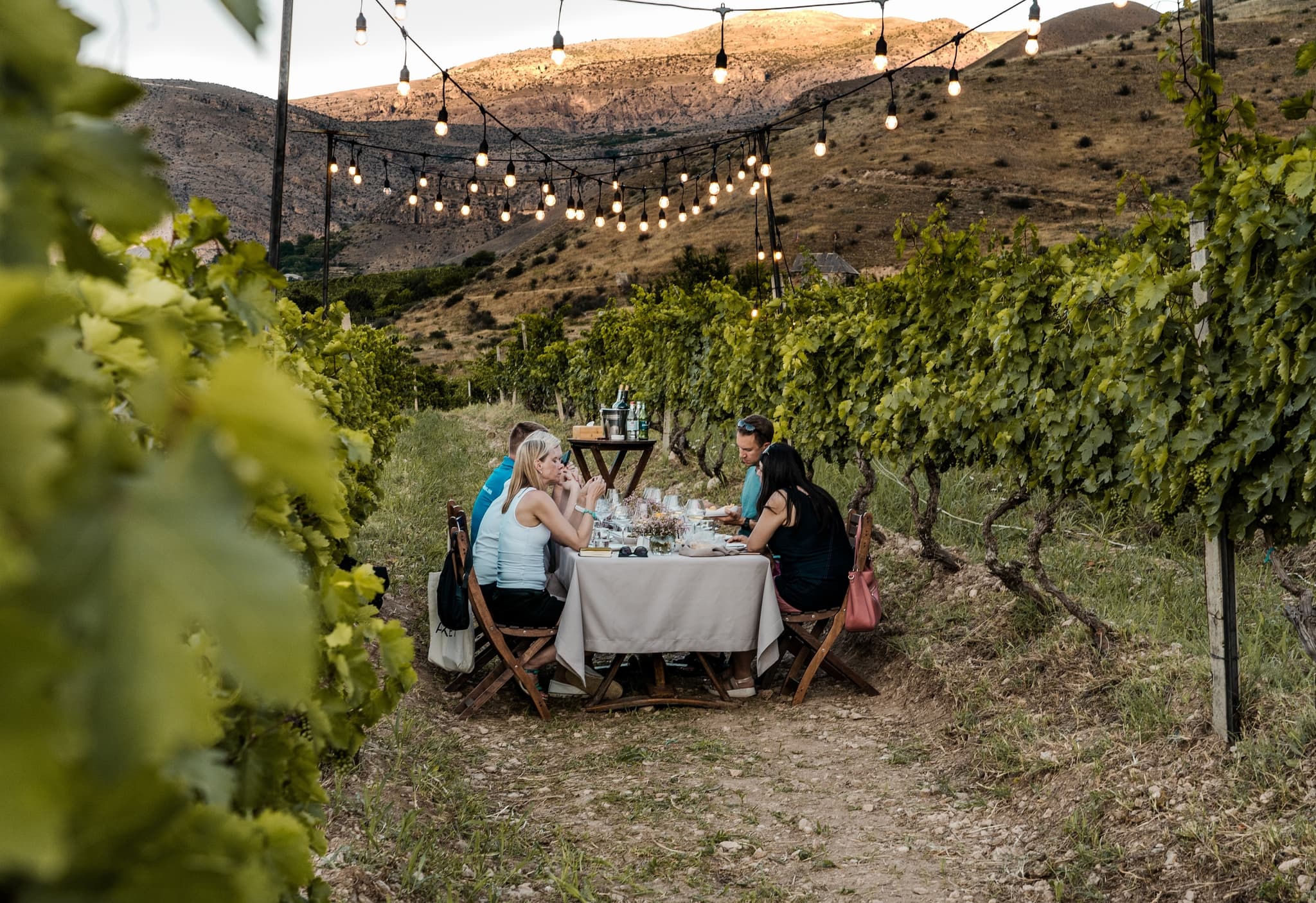 Book a Premium Winery Tour Limousine for Your Next Getaway