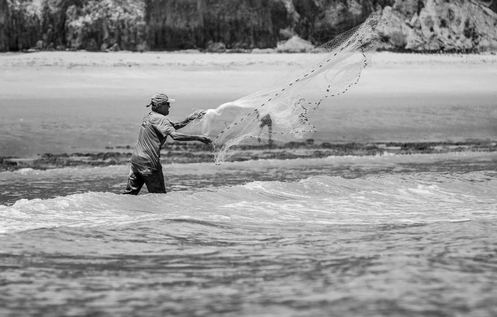 Fly Fishing Line Guide: Types, Weights &amp; When to Use Each