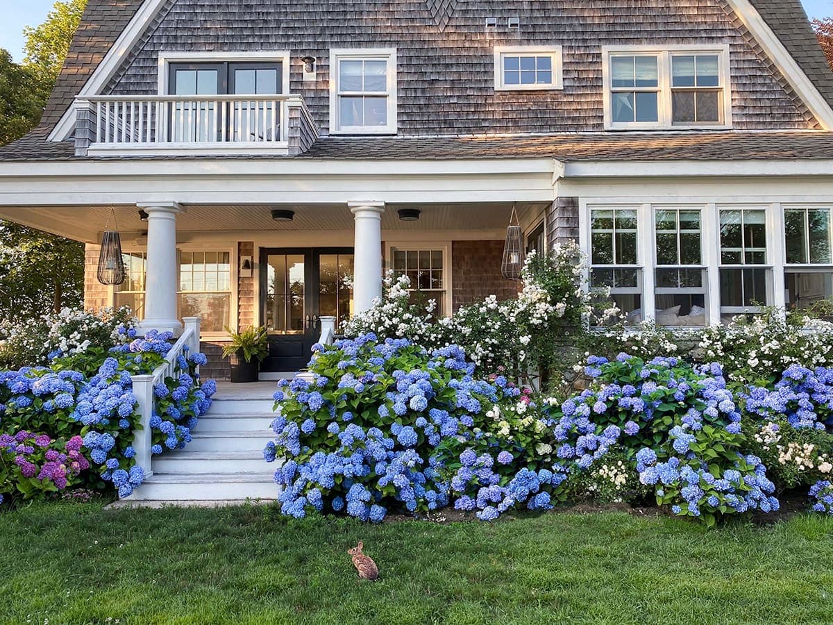 Cape Cod Home Layouts: Smart Ways to Add Space and Functionality