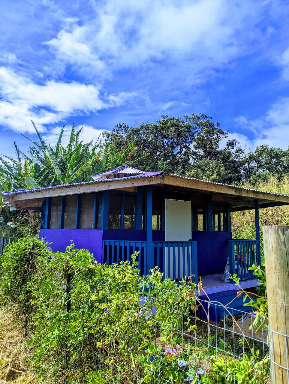 Why Coastal Cabana Is the Most Anticipated EC in District 18