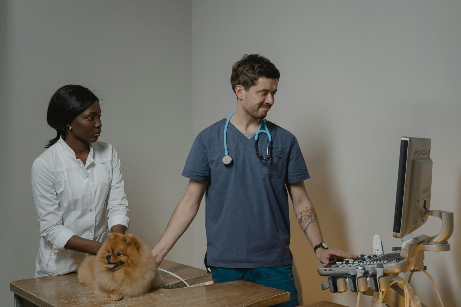 Start a Medical Club: A Step-by-Step Guide for Student Leaders