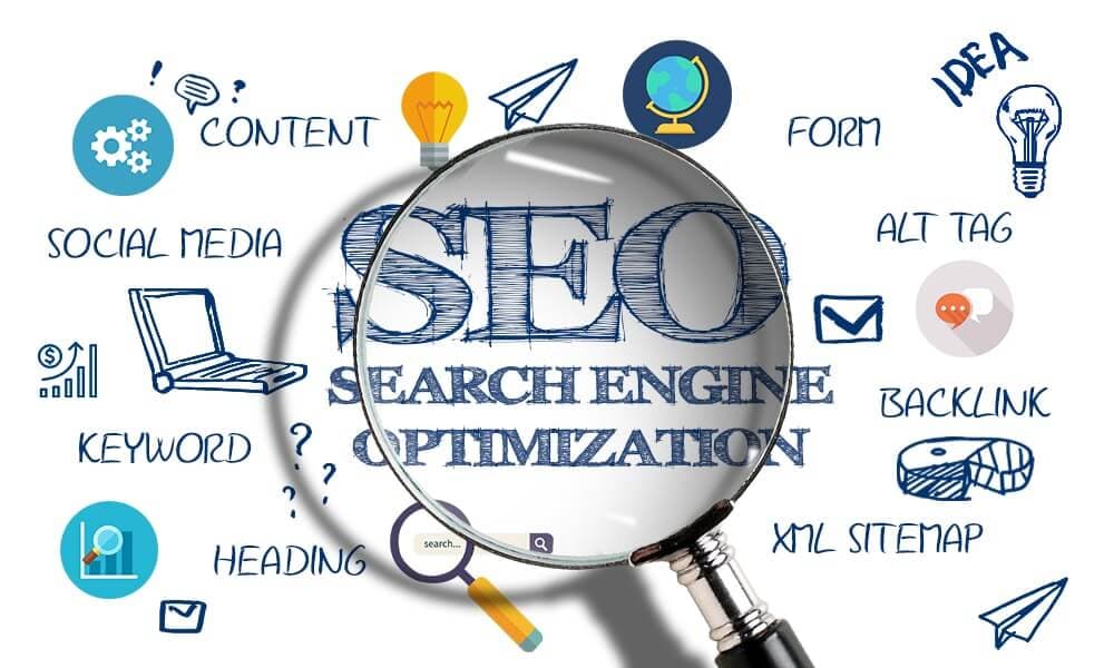 Trusted Auckland SEO Specialist for High-Impact Results