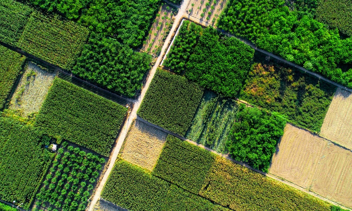 Green Cooling – Efficient Temperature Control Solutions