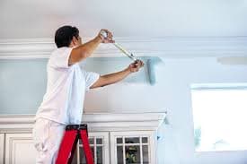 Professional House Painters Minneapolis Homeowners Rely On