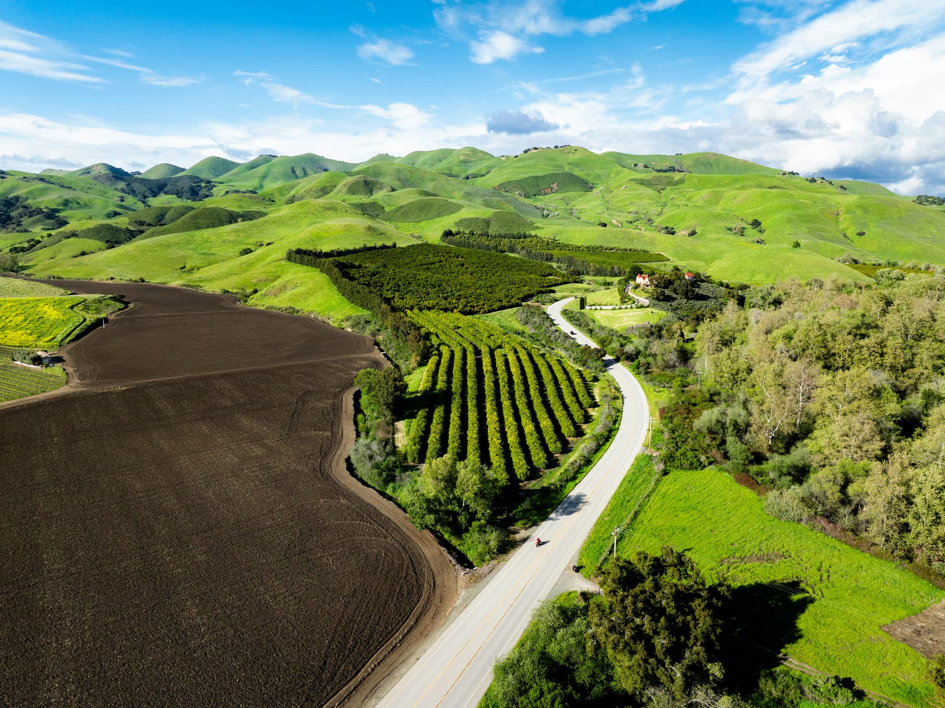 Why Clarksburg CA Is a Hidden Gem for Wine Lovers