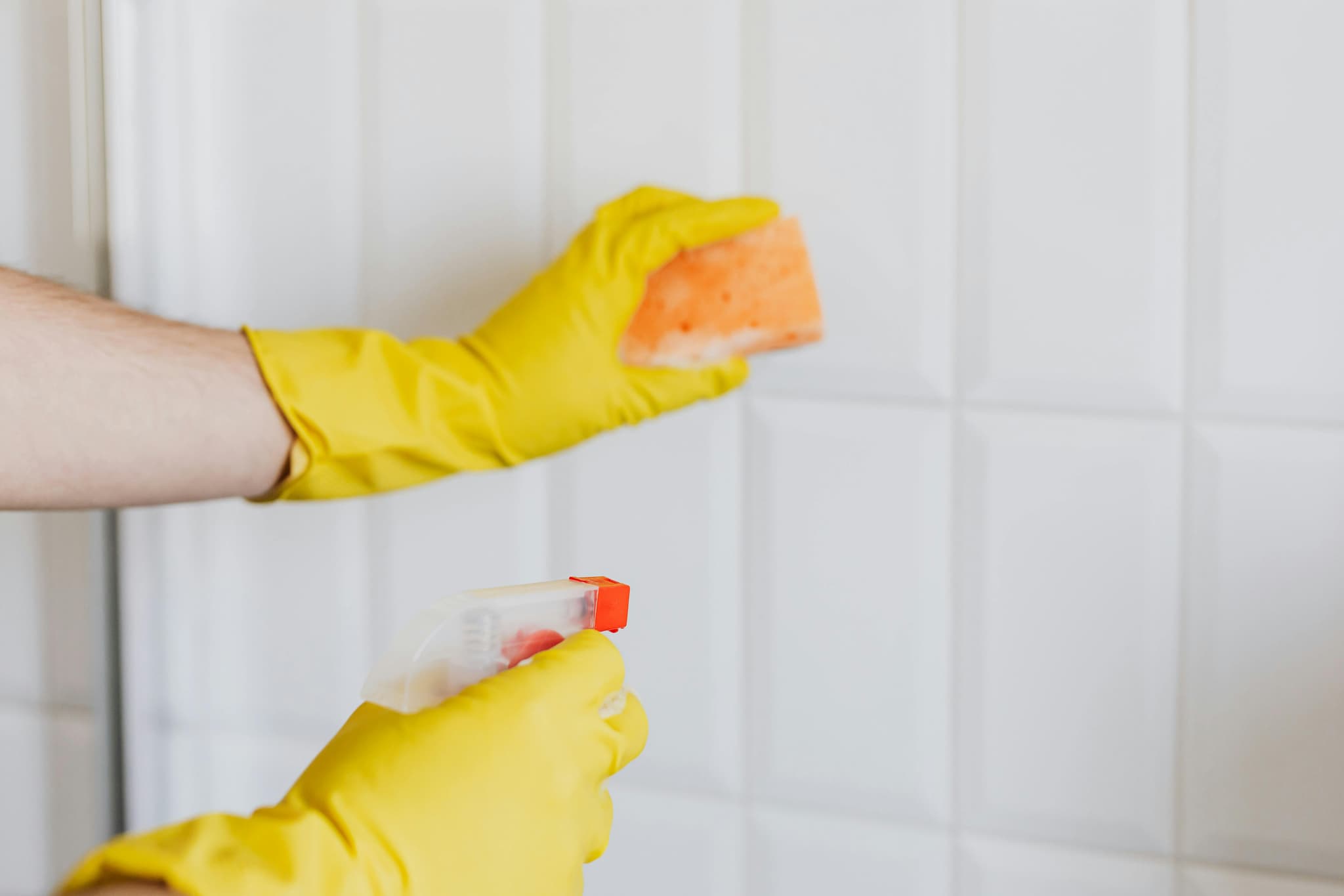 Sparkle and Shine: Professional Home Cleaning Services by ECO Clean Ellie’s