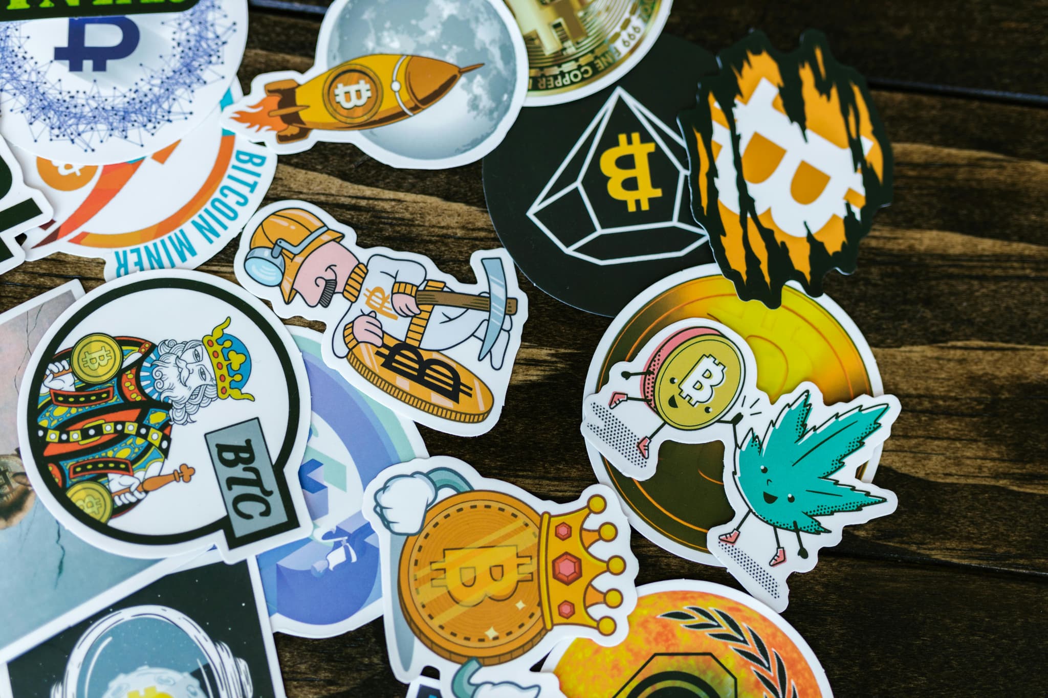 Exploring the Playful World of Dachi Duck