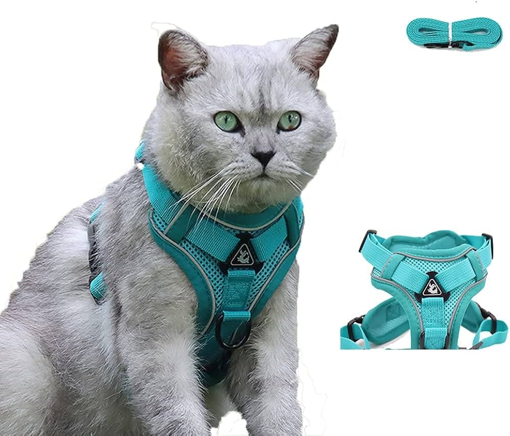 Cat Stores Online Catshoponline – Shop Quality Cat Care Products with Confidence
