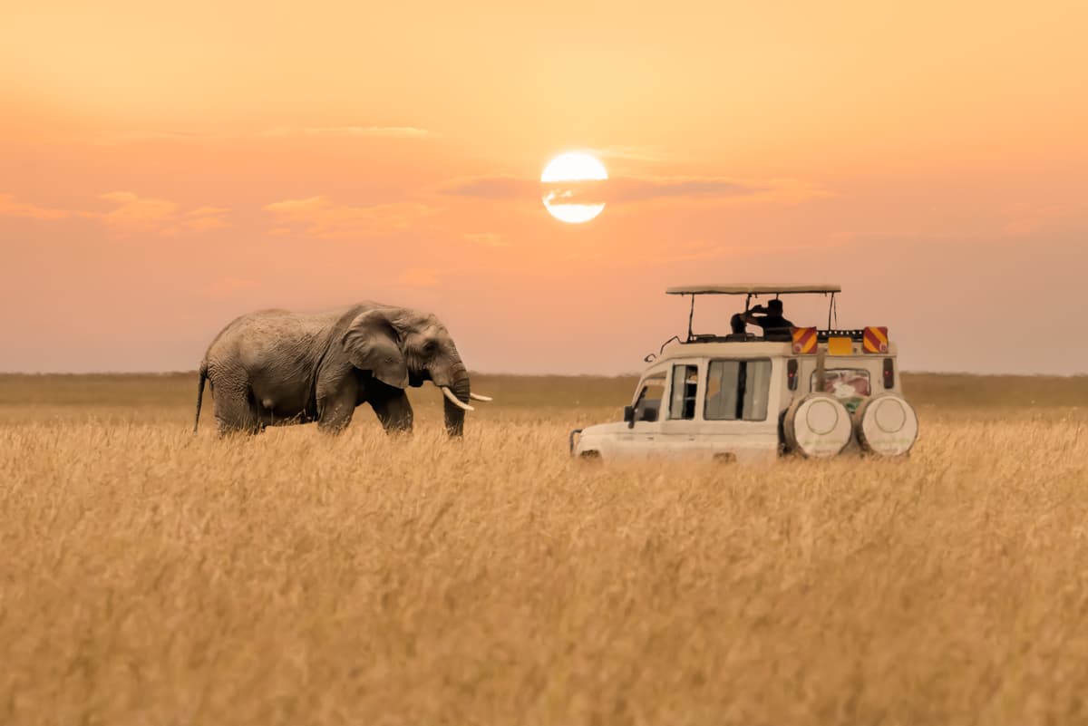 Best Tanzania Safari Packages: Unveil the Secrets of the Serengeti