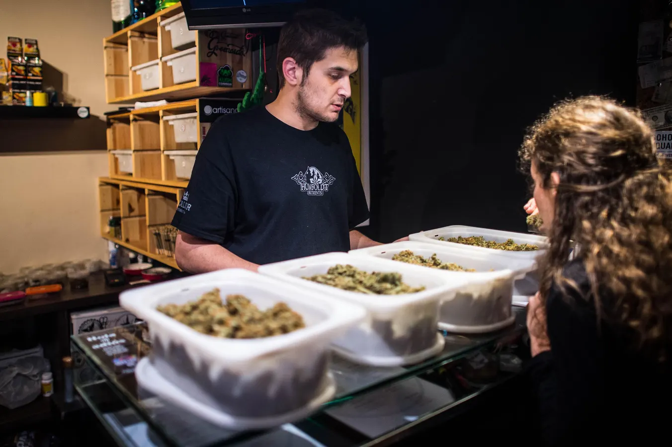 How to choose the Best Cannabis Clubs Madrid with confidence