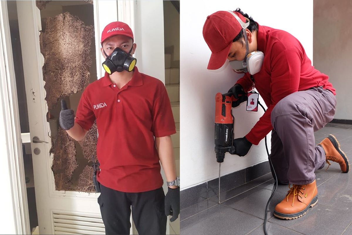 Jasa Anti Rayap Terpercaya untuk Rumah dan Kantor