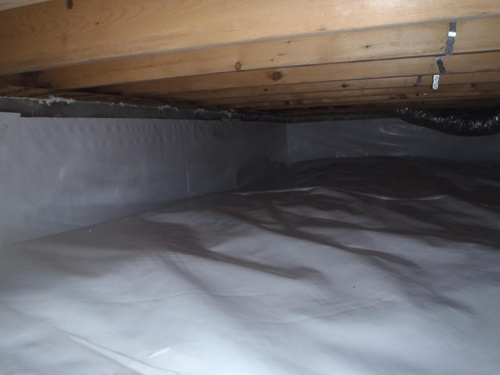 Reliable Basement Waterproofing Solutions for Homeowners