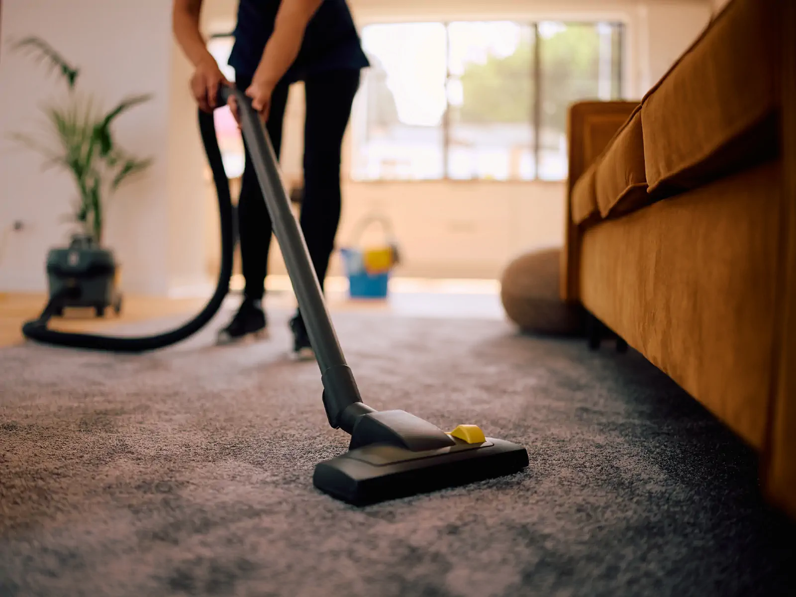 Carpet Cleaning Roseville CA – Experienced Team, Spotless Results