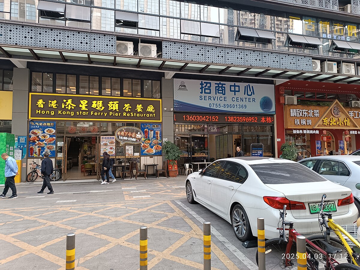 Premium Hong Kong to Shenzhen Car Service With Professional Drivers
