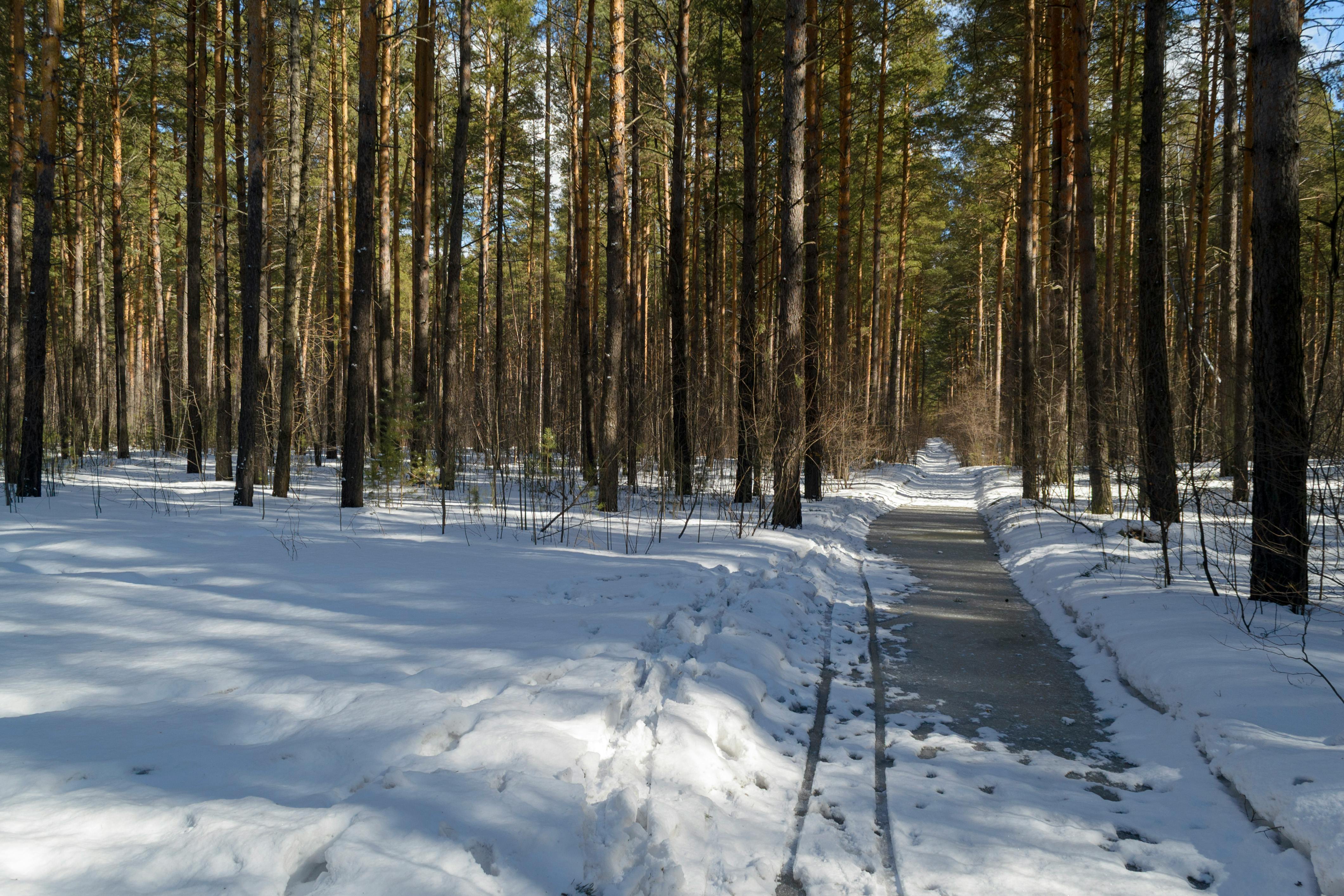Cool Trails Near Me for Wildlife Tours and Scenic Adventures