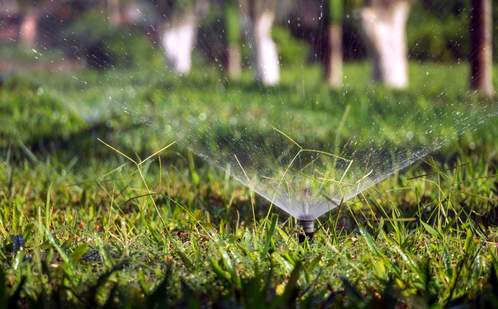 Professional Irrigation Services in Keller, TX – Expert Sprinkler System Solutions