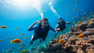 Explore the vibrant coral reef with divers from https://marvinscubaexpeditions.com.