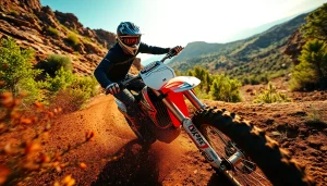 Experience the thrill of motocross at https://relevance.com.ua with an expert rider on a dirt trail.