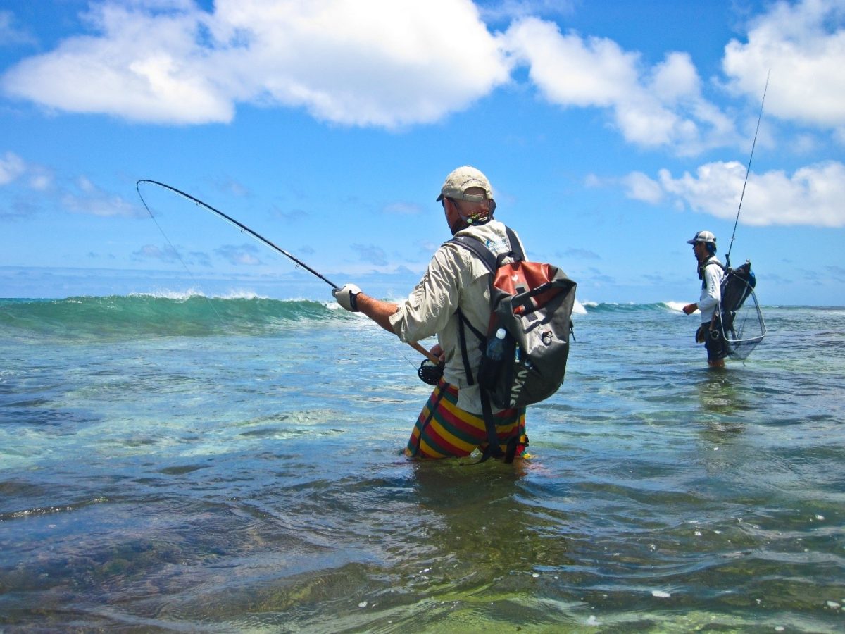 Top 10 Fly Fishing Line Options for Beginners and Experts