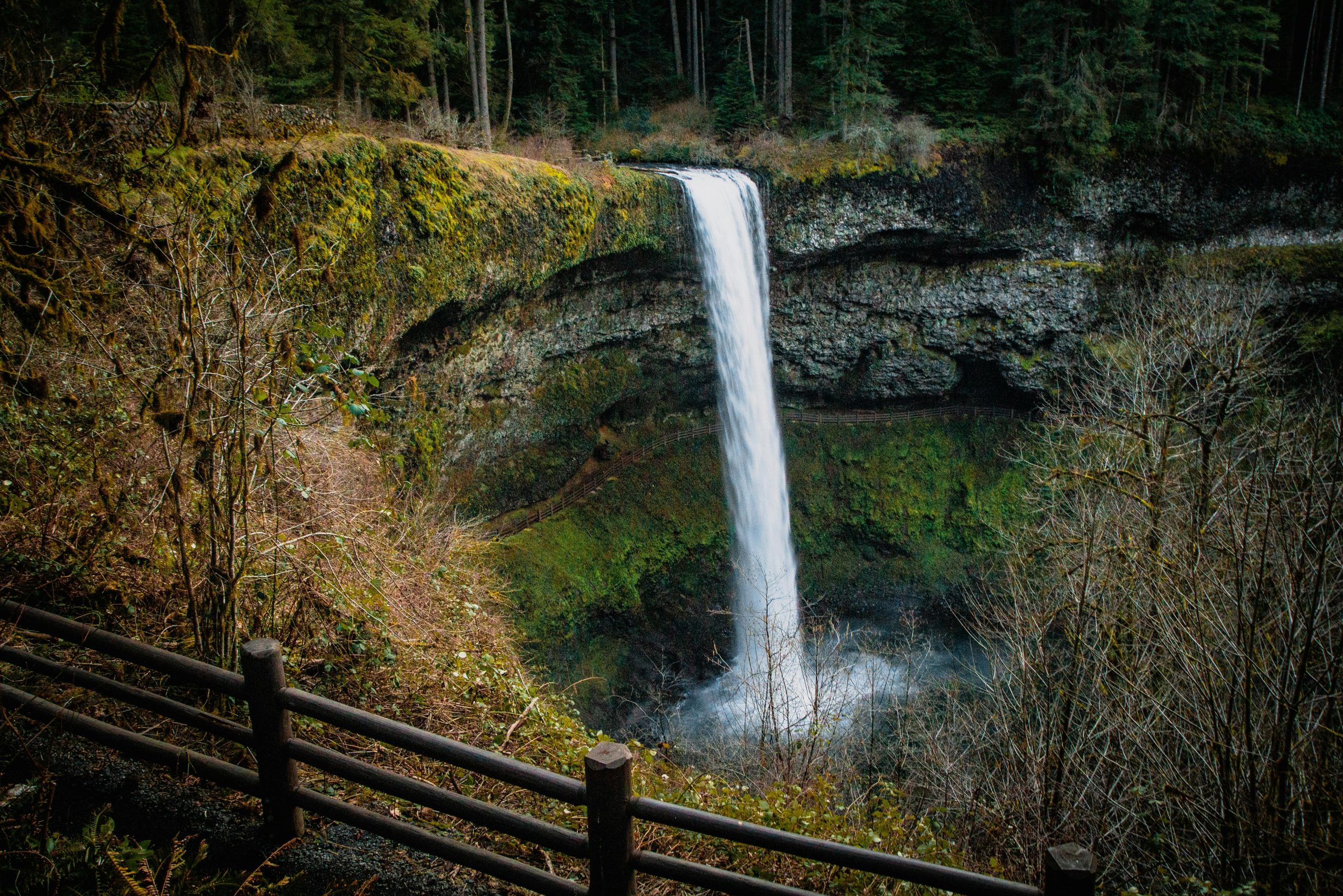 Discover the Beauty of Multnomah Falls on a Stress-Free Tour