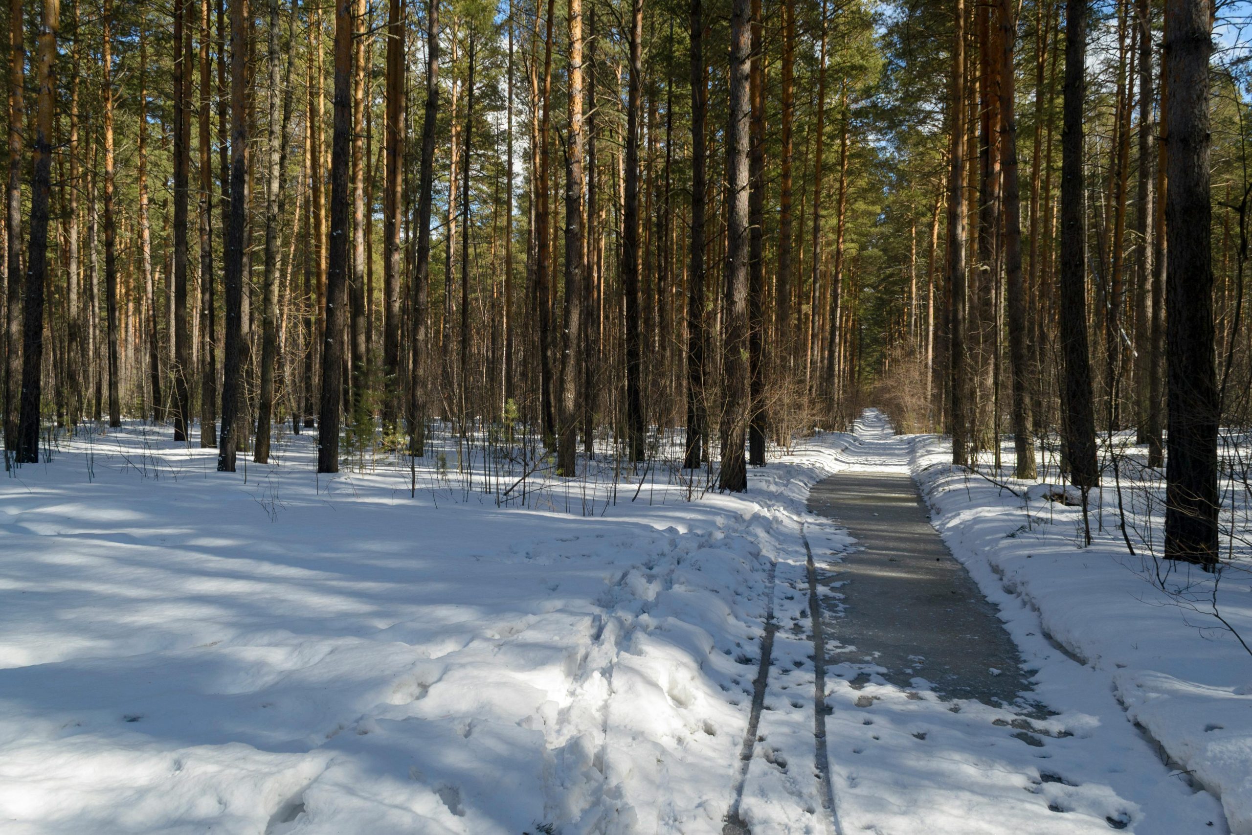 Cool Trails Near Me for Wildlife Tours and Scenic Adventures