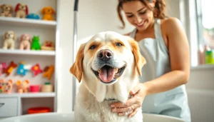 Hondenverzorgers.nl toont een blije Labrador die wordt gewassen in een stijlvolle trimsalon.