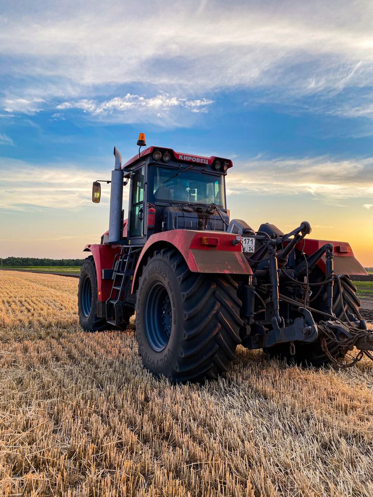 Global Trade Made Simple with DDPexpert – China Freight Forwarder for Air Freight, FCL Shipping, and Customs Clearance Services