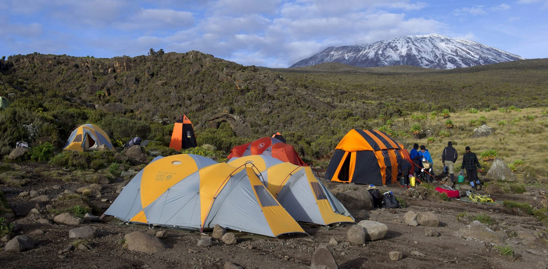Climb Kilimanjaro: Guided Treks Led by Kilimanjaro Specialists